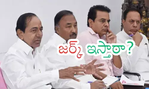 kcr, brs, mlc posts,  telangana