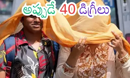 summer, temparatures,  increased, telugu states