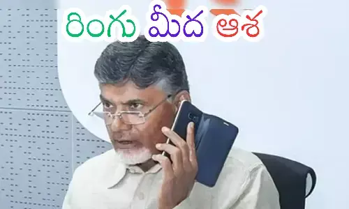chandrababu, telugu desam party chief,  mlc candidates, ap politics