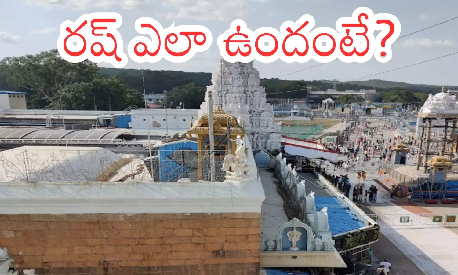 today darsan time in  tirumala, rush,  devotees, wednesday