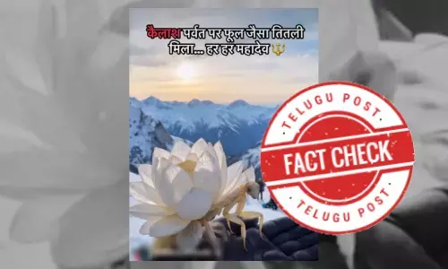 The claim is false; the viral video was created using AI