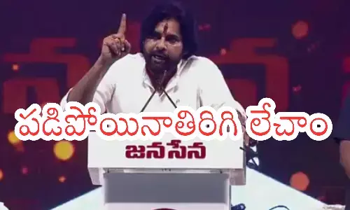 pawan kalyan, jana sena, pithapuram, andhra pradesh