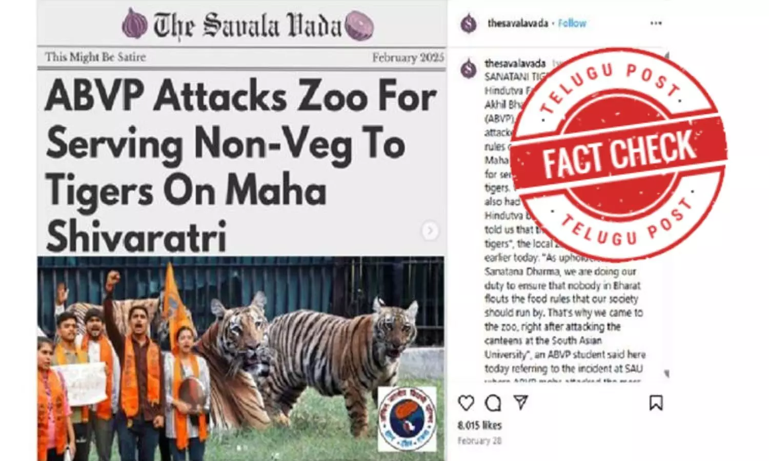 Shivratri, tigers, non-veg food, ABVP, student violence