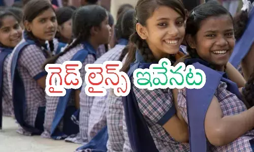 talliki vandanam scheme, guidelines,cabinet, andhra pradesh