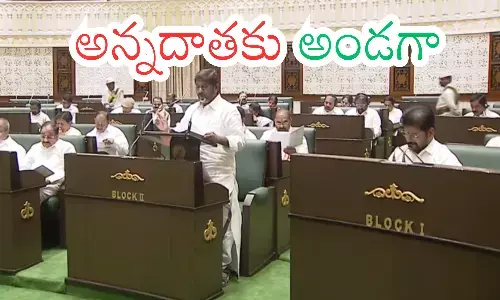 funds,  agriculture , budget, telangana