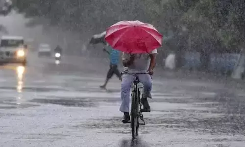 heavy rains, winds, many places, telangana