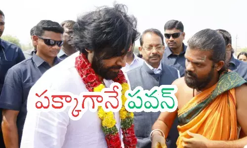 pawan kalyan, deputy chief minister, strategy, ap politics