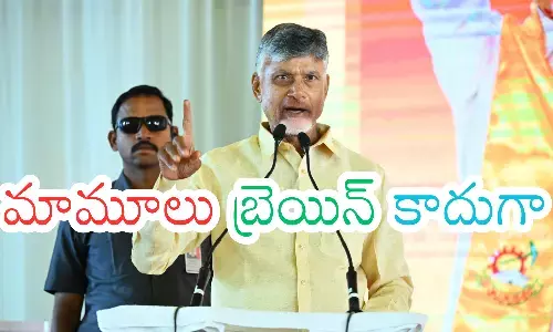 chandrababu, chief minister, p4 scheme. ap politics