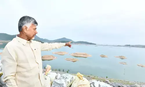 chandrababu, chief minister, visit, polavaram project