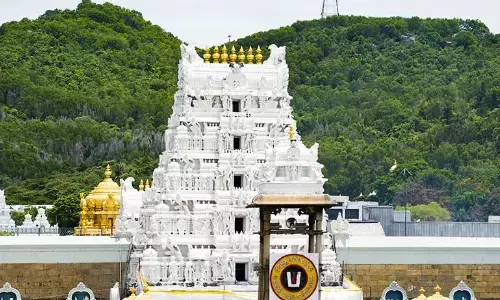 devotees,  accommodation, vip break darsan,  tirumala