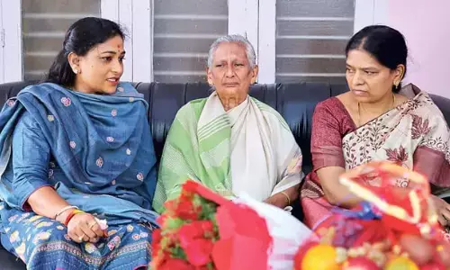 vangalapudi anitha, home minister, doctor sudhakar family, visakha