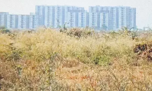 chandrababu, chief minister,  bhoomi puja, amaravati