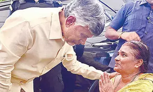 chandrababu, chief minister, distribution of pensions, bapatla district