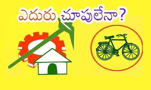 telugu desam party, chandrababu, third phase