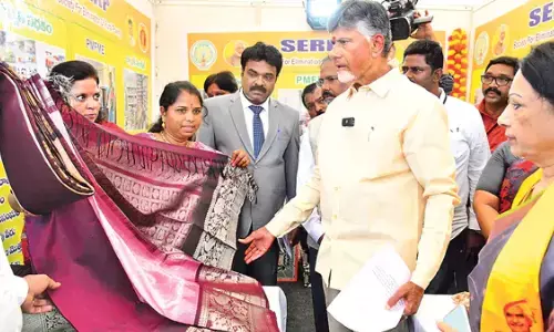 chandrababu,  chief minister, silk saree,  bhuvaneshwari
