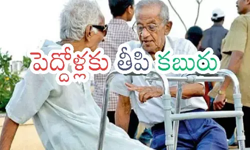 pmjay vayo vandana scheme,  central government, guidelines, andhra pradesh government