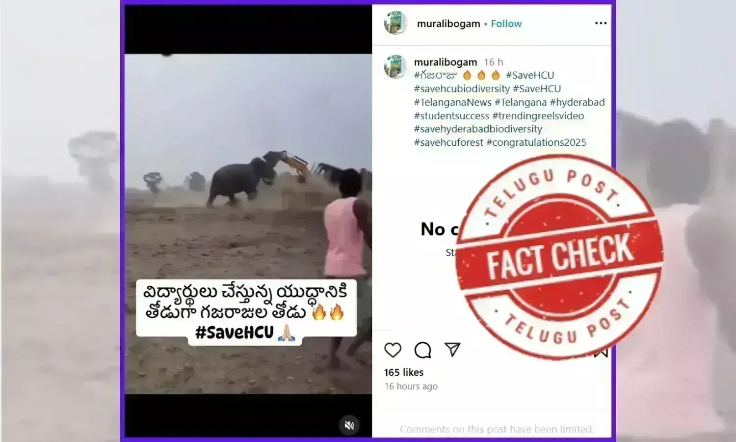 tusker attacking an excavator