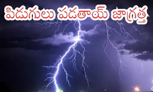 meteorological department, alert, andhra pradesh, telangana