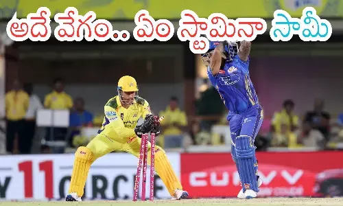 ms dhoni, chennai super kings, IPL matches, fans