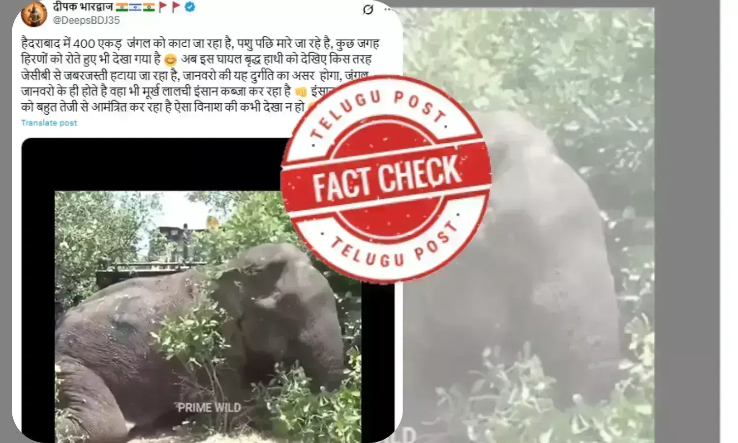 فیکٹ چیک: سری لنکا کا 2018 کا ویڈیو حیدرآباد کے کنچہ گچی باؤلی میں ہاتھی کو جے سی بی سے ہٹانے کے گمراہ کن دعوے کے ساتھ وائرل
