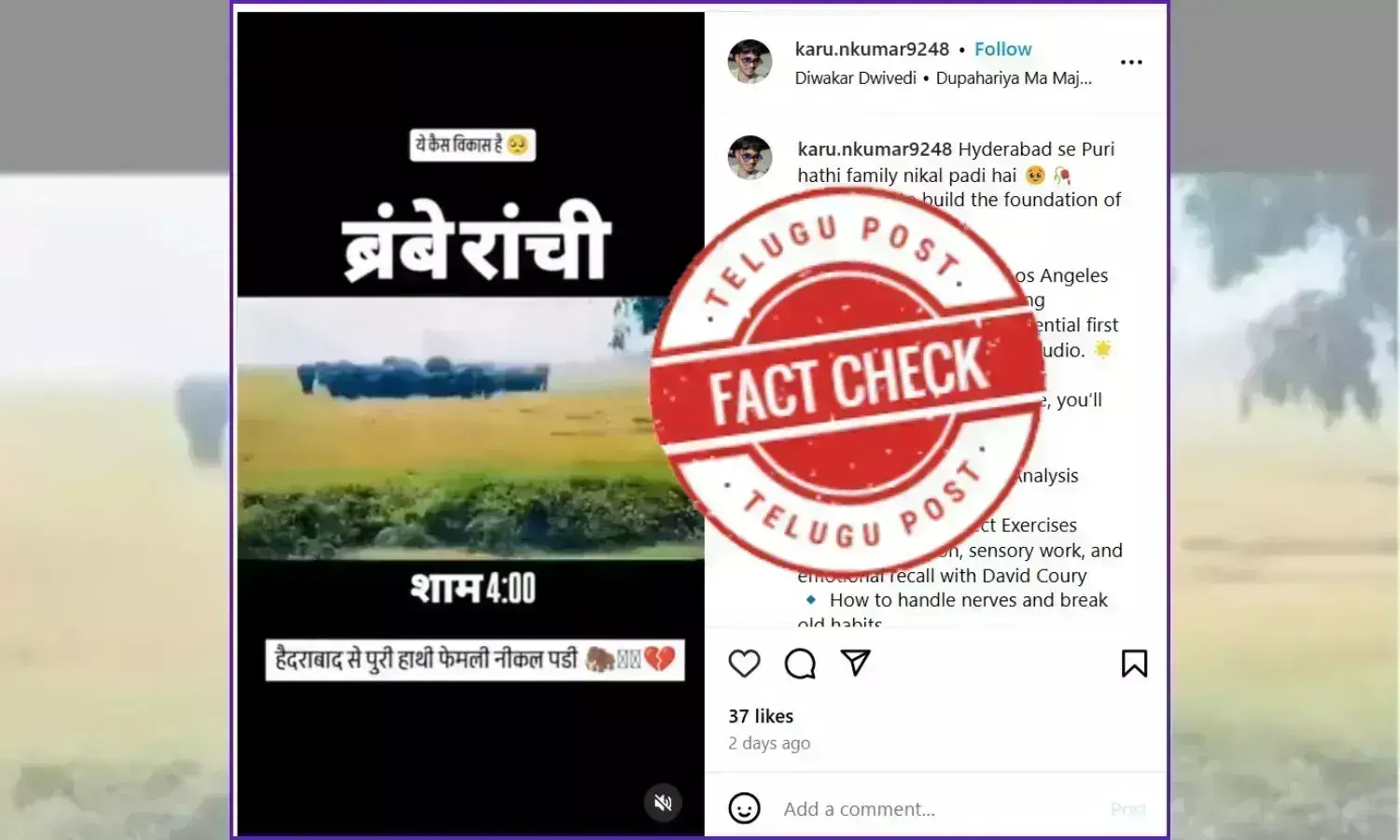 ఫ్యాక్ట్ చెక్: ఏనుగుల గుంపు రోడ్డు దాటుతున్న వీడియో హైదరాబాద్ కు చెందినది కాదు