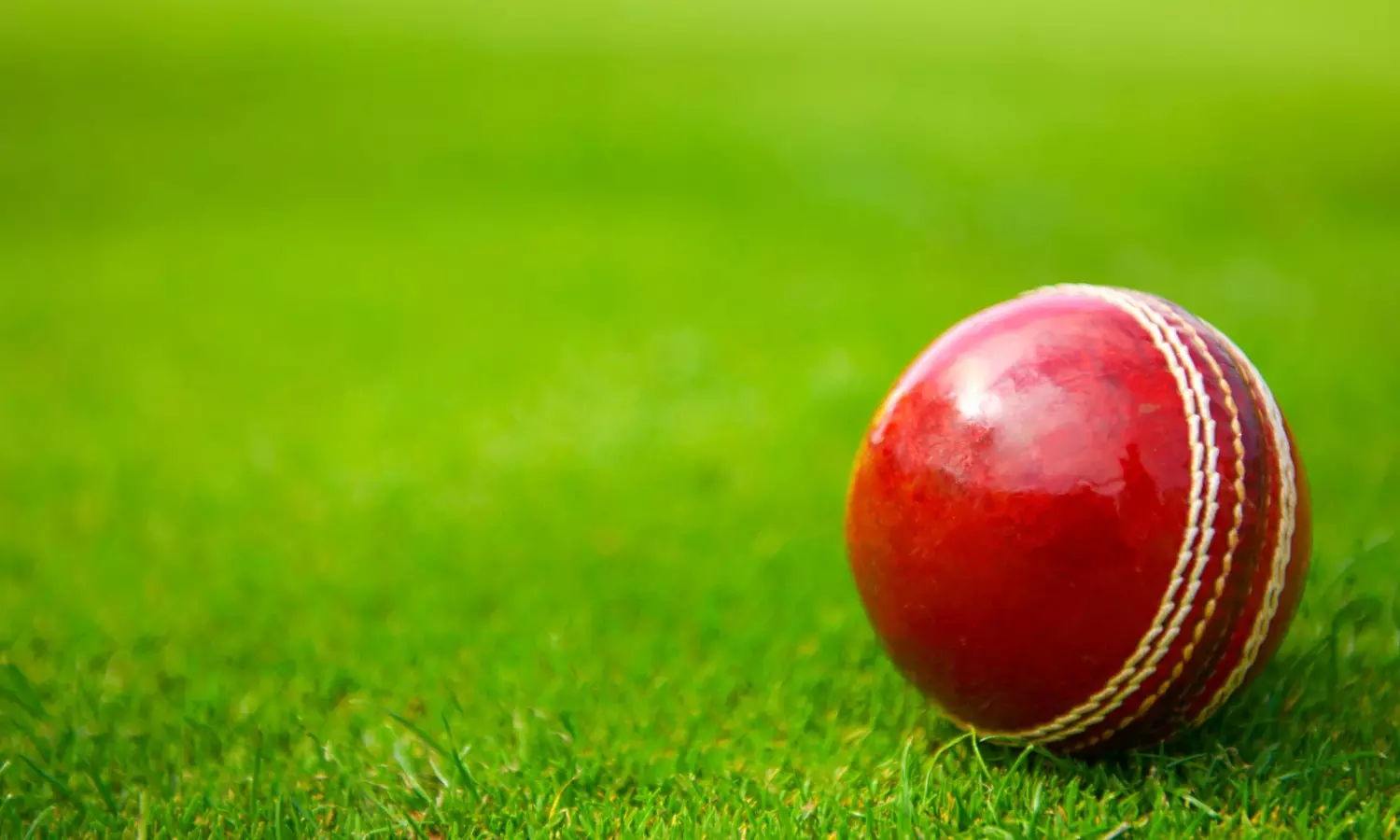 olympics, cricket,  2028, amercia