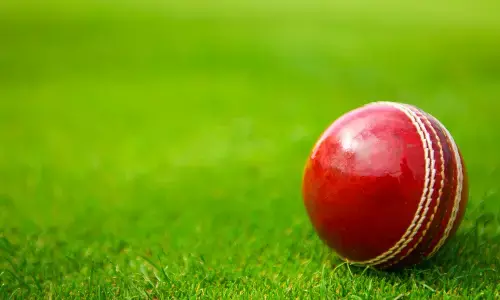 olympics, cricket,  2028, amercia