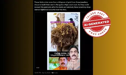 ಫ್ಯಾಕ್ಟ್‌ಚೆಕ್‌: ಪಕ್ಷಿಗಳು ಒಂದು ಕೆಜಿಗಿಂತ ಹೆಚ್ಚು ಚಿನ್ನವನ್ನು ಕದ್ದಿವೆ ಎಂದು ಎಐ ವಿಡಿಯೋ ಹಂಚಿಕೆ
