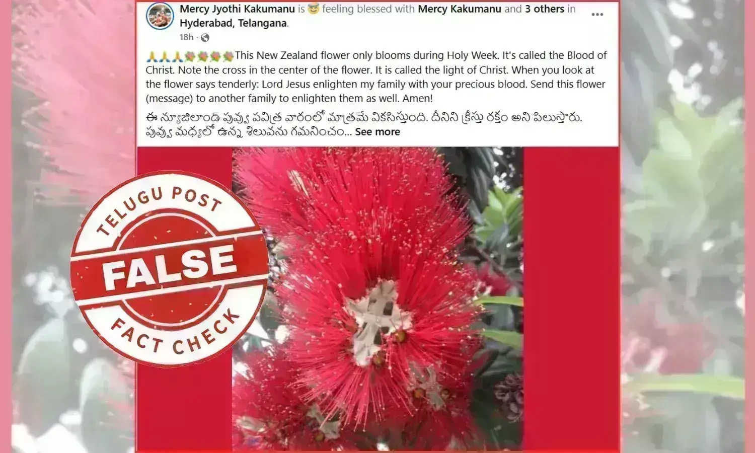 Blood of Jesus flower