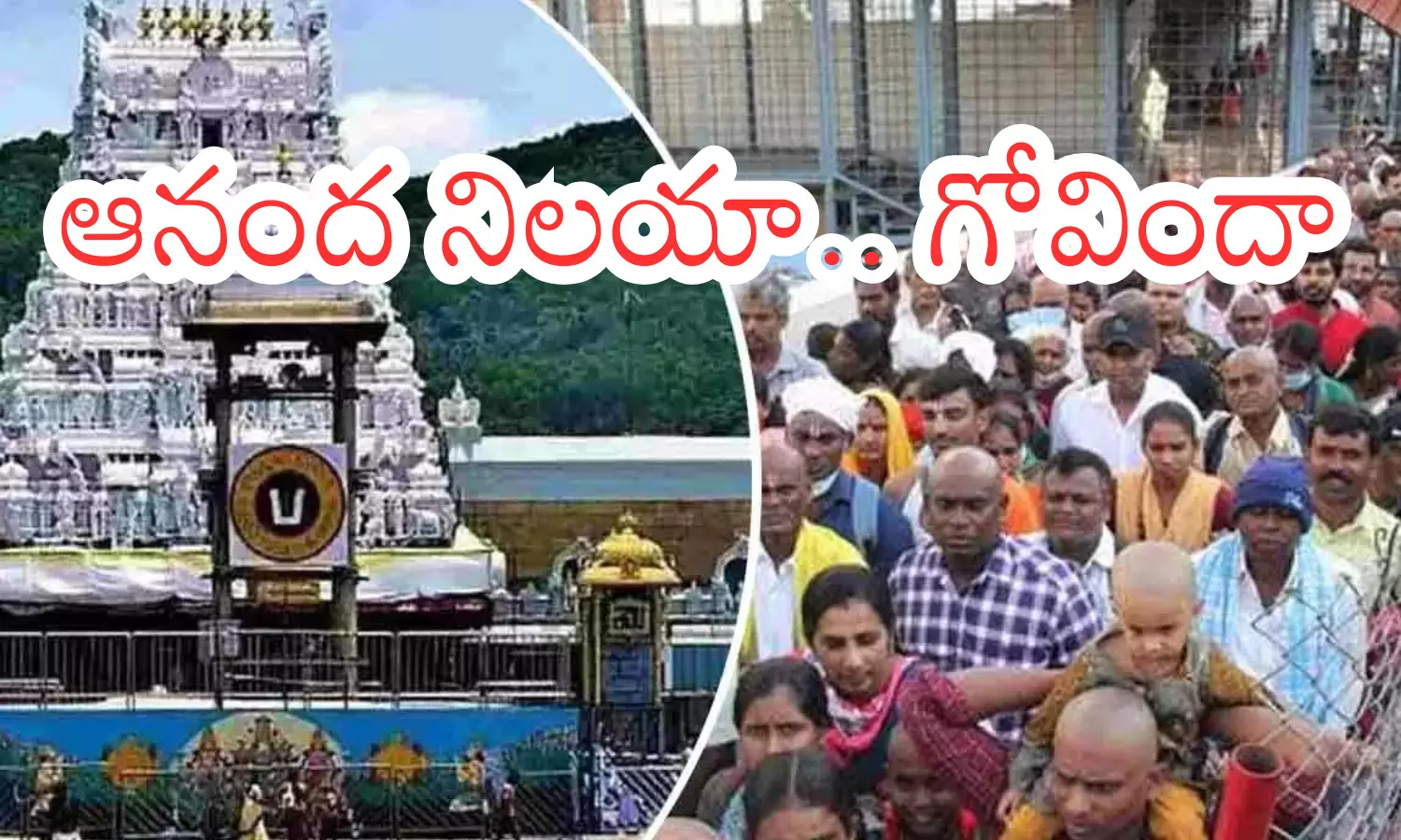 darsan time today in tirumala, rush,  devotees,  thursday