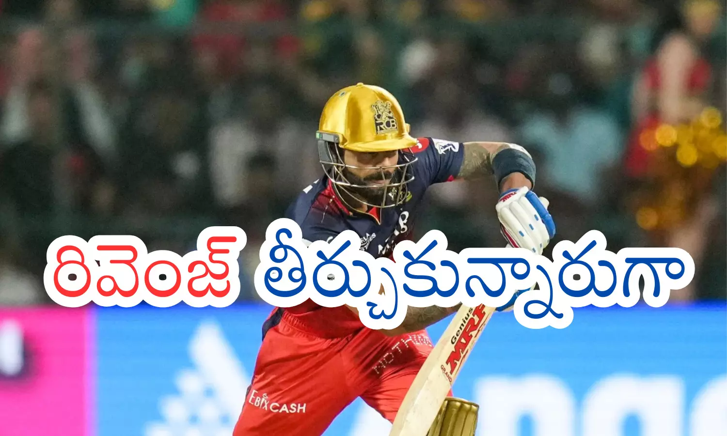 royal challengers bengaluru, punjab kings, IPL 2025, new chandigarh