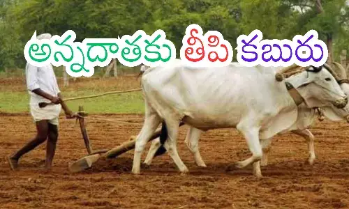 chandrababu, annadata sukhibhava, faremers account, andhra pradesh