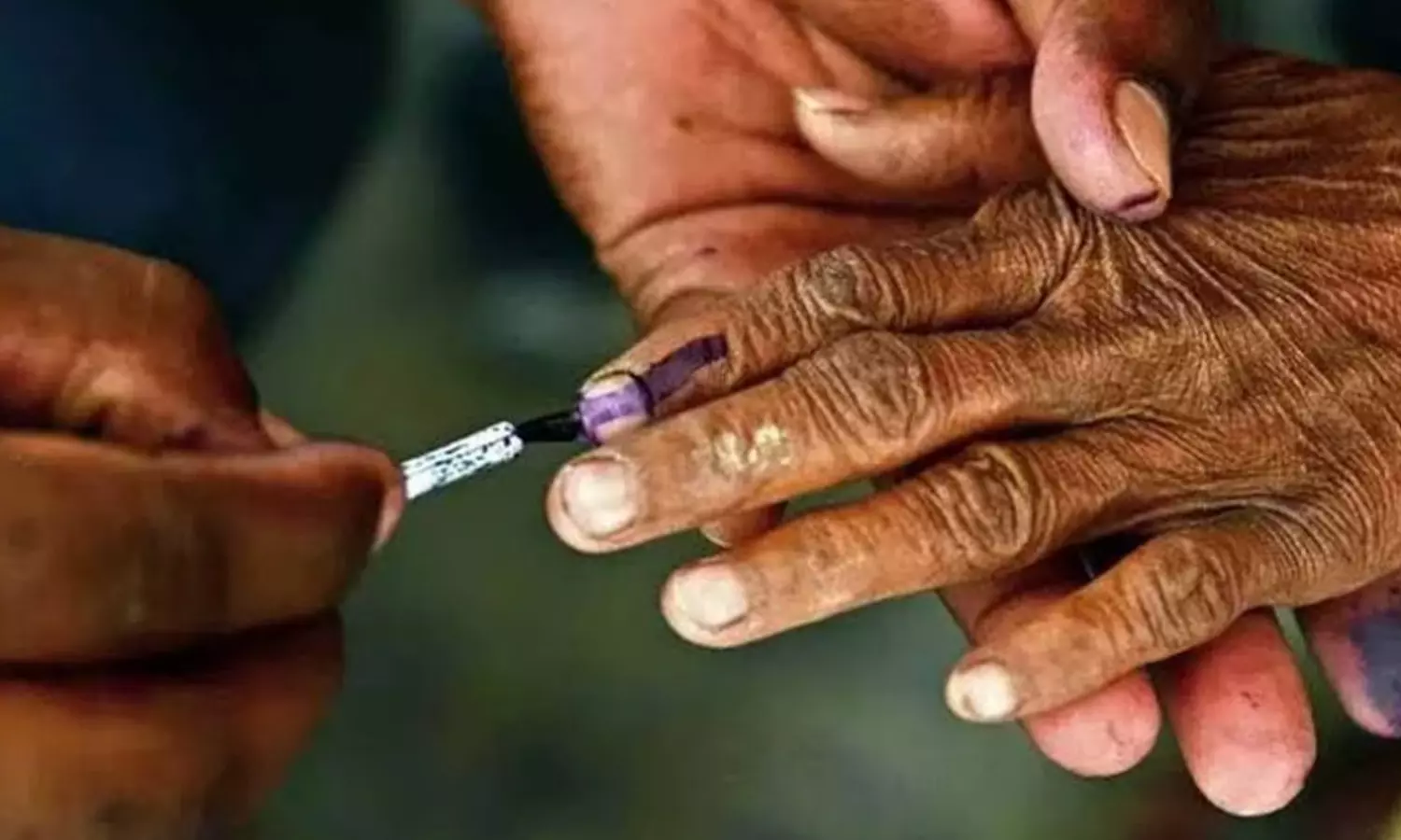 local bodies, mlc elections, today, hyderabad local bodies, mlc elections, today, hyderabad