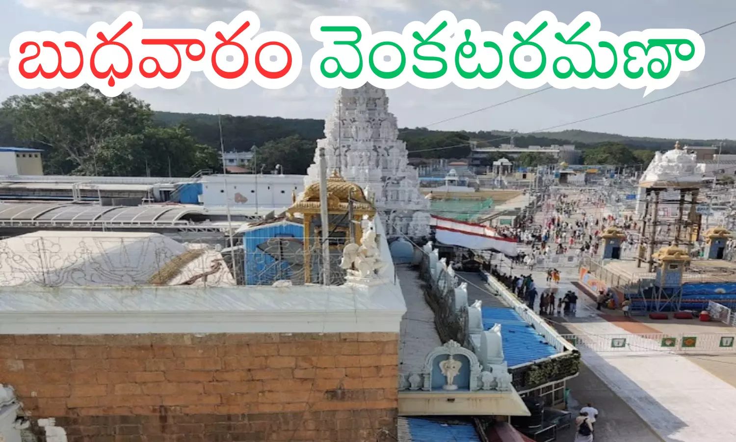 darsan time today in tirumala, rush, devotees, wednesday