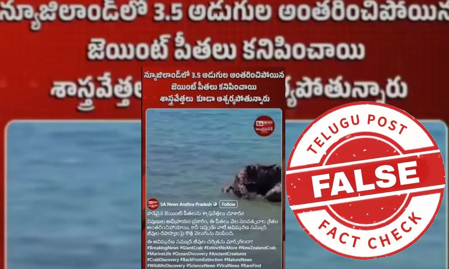 ఫ్యాక్ట్ చెక్: భారీ ఆకారంలోని పీతలు సముద్రంలో నుండి బయటకు వచ్చాయంటూ జరుగుతున్న ప్రచారంలో నిజం లేదు