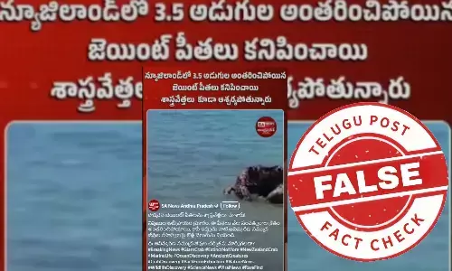 ఫ్యాక్ట్ చెక్: భారీ ఆకారంలోని పీతలు సముద్రంలో నుండి బయటకు వచ్చాయంటూ జరుగుతున్న ప్రచారంలో నిజం లేదు