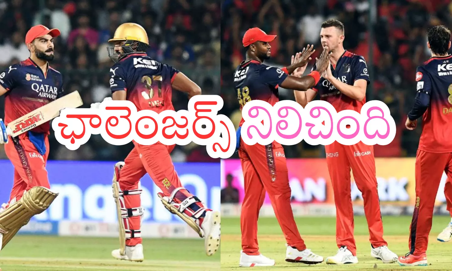 royal challengers bengaluru,  rajasthan royals, IPL 2025,  bengaluru