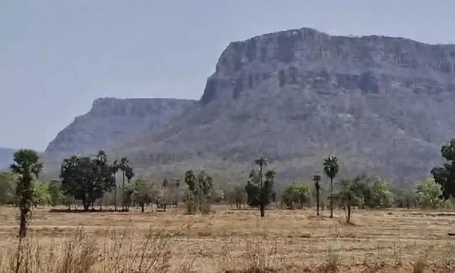 operation, chhattisgarh-telangana border, mavoists, karregutta operation, chhattisgarh-telangana border, mavoists, karregutta