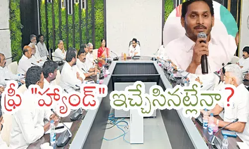ys jagan, ycp chief, free hand, ap politics
