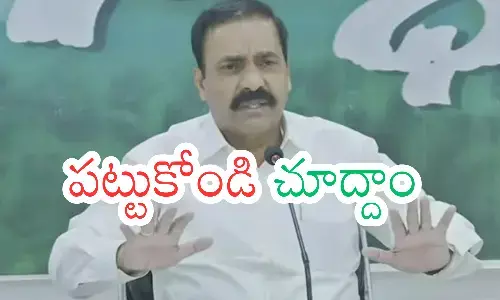 kakani govardhan reddy, ycp, police searching, nellore district