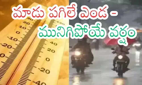 disaster management, rain,  andhra pradesh, telangana
