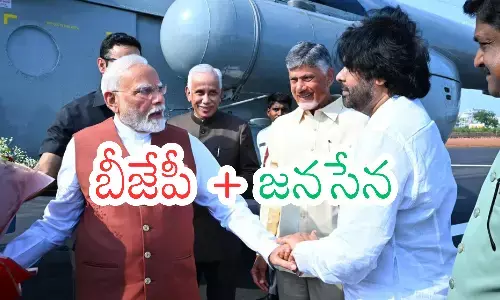 pawan kalyan, janasena chief, big responsibilities , bjp central leadership