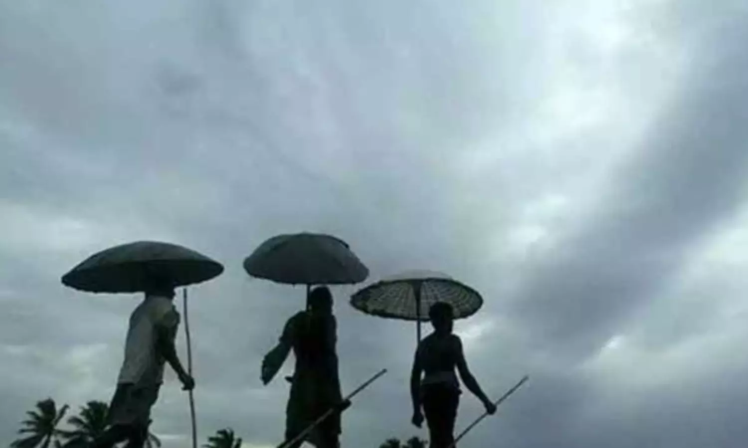 meteorological department, good news,  southwest monsoon ,  andaman
