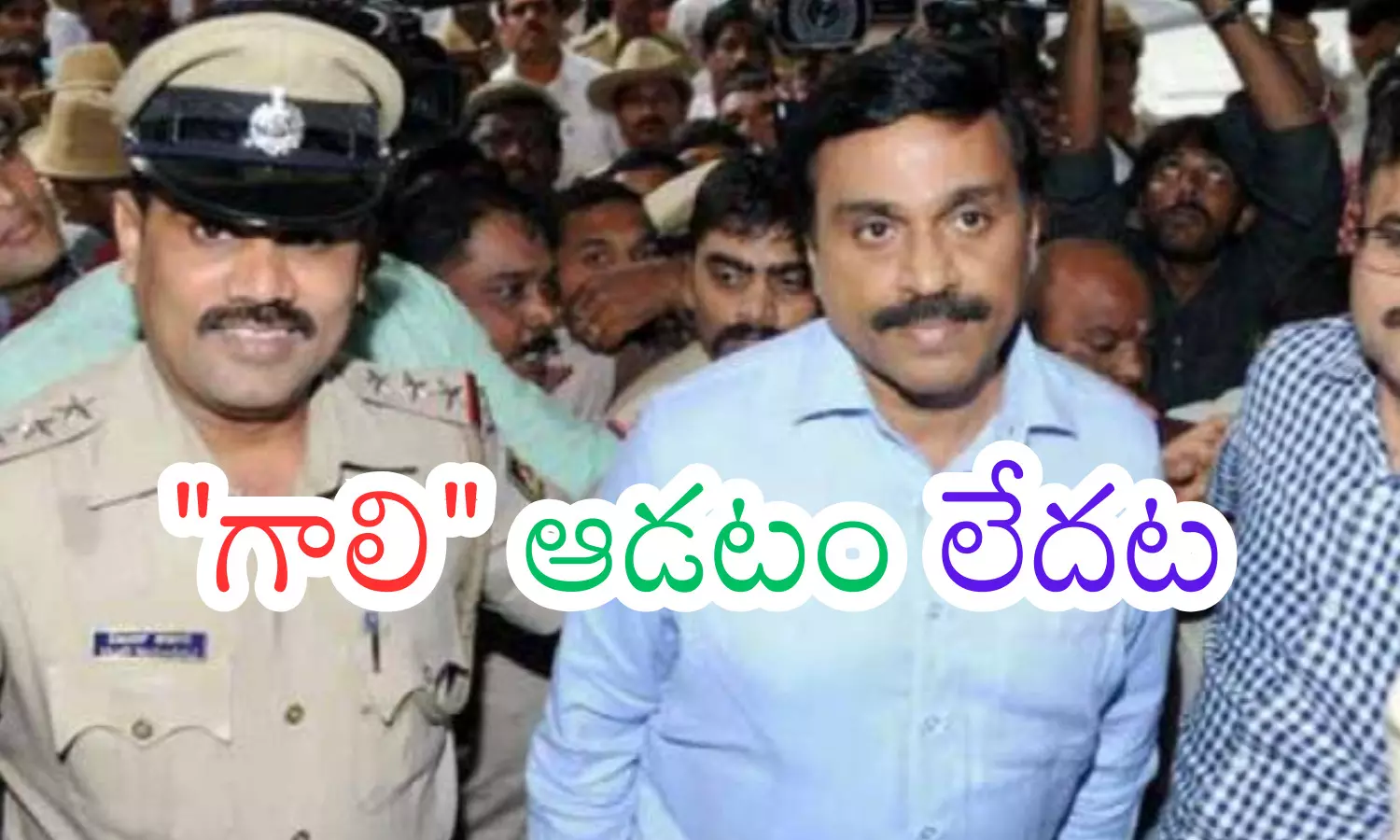 gali  janardhan reddy,  petition, jail, court