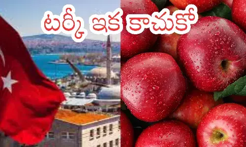 boycott, turkey,  india,  pakistan