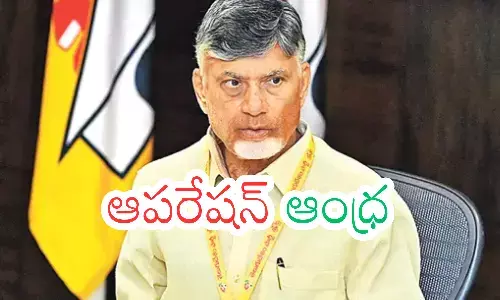 chandrababu, chief minister, welfare schemes, ap politics