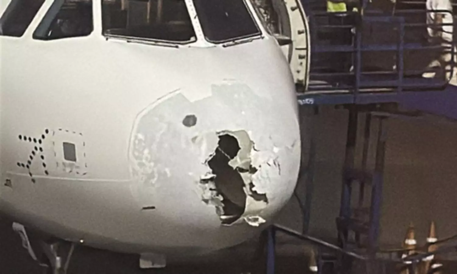 indigo, srinagar, flight