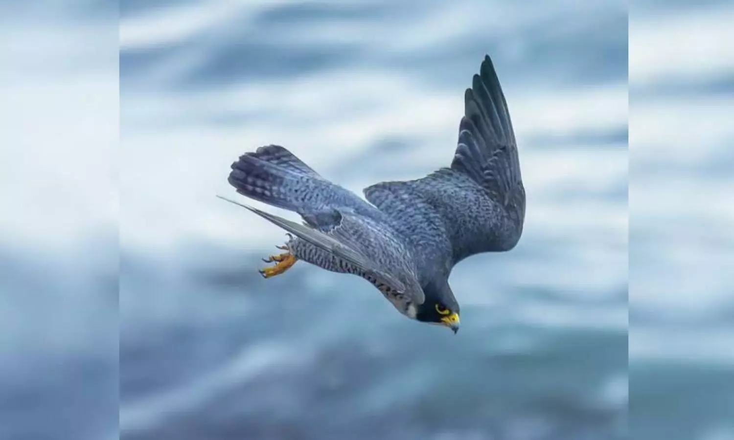 6000 కిలోమీటర్లు 18 రోజుల్లో!! 6000 కిలోమీటర్లు 18 రోజుల్లో!!