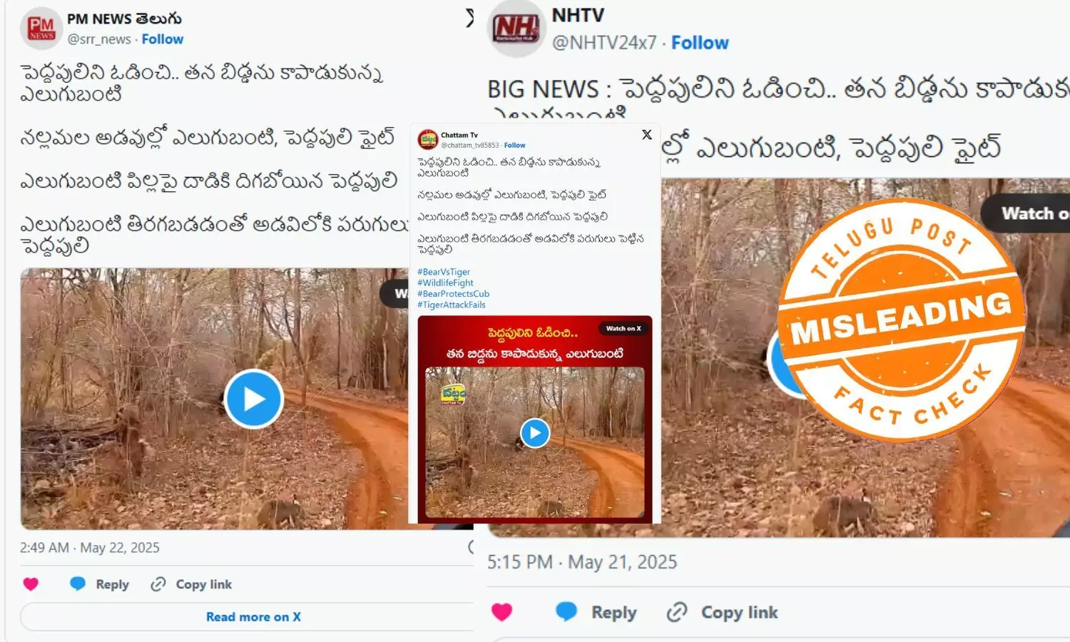 ఫ్యాక్ట్ చెక్: పెద్ద పులిపై ఎలుగుబంటి తిరగబడిన విజువల్స్ అమ్రాబాద్ టైగర్ రిజర్వు ఫారెస్ట్ లో చోటు చేసుకుంది కాదు