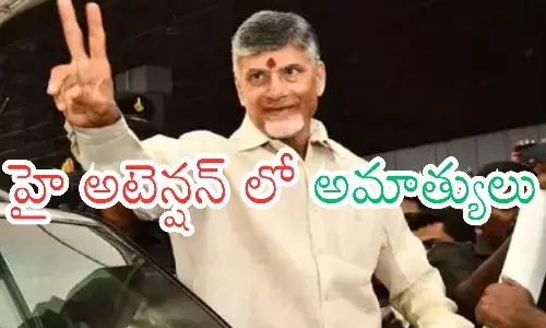 chandrababu naidu,  chief minister, union ministers, delhi
